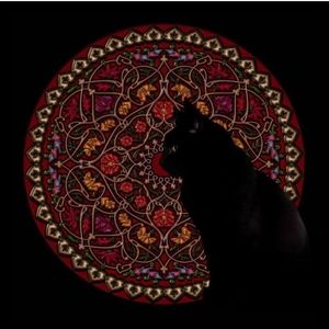 Meet your Posher, Earline